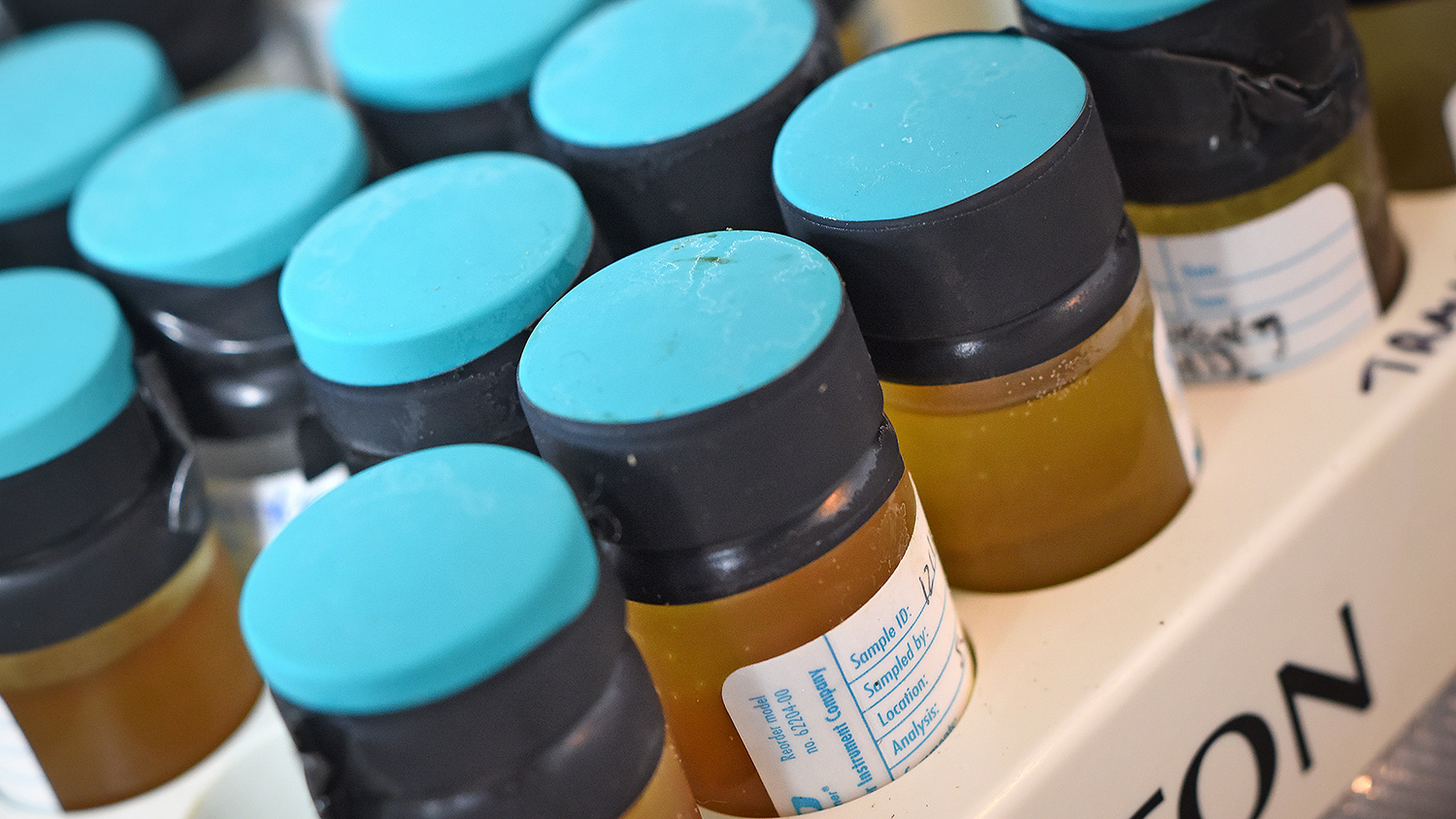 Tray of hemp oil samples