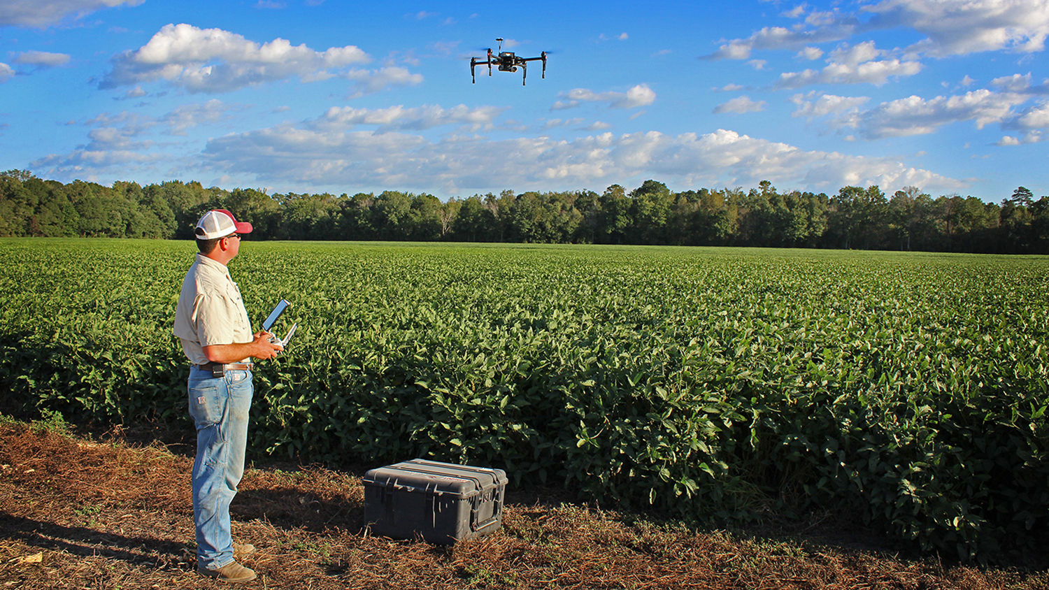 Man with drone flying over farm field