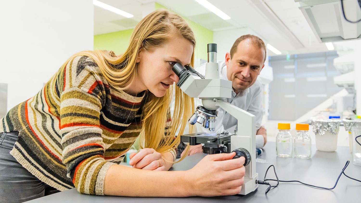 A student looks through the microscope with faculty