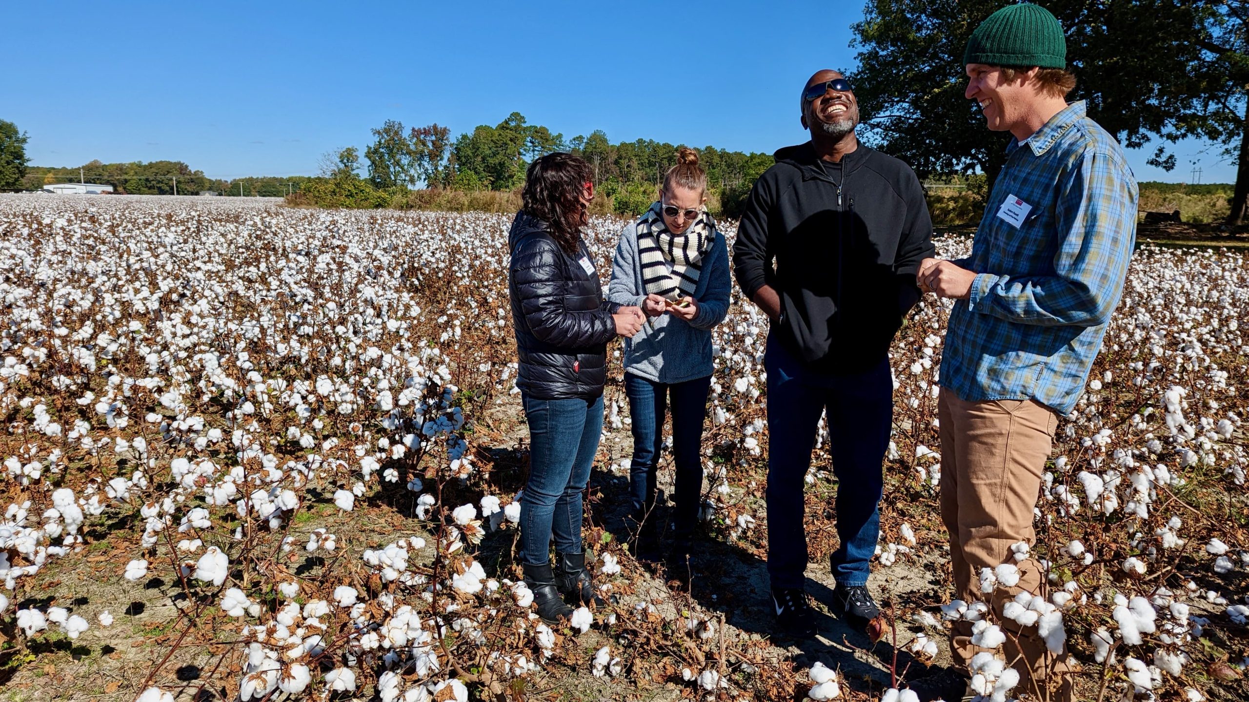 PSI Faculty out in a cotton field