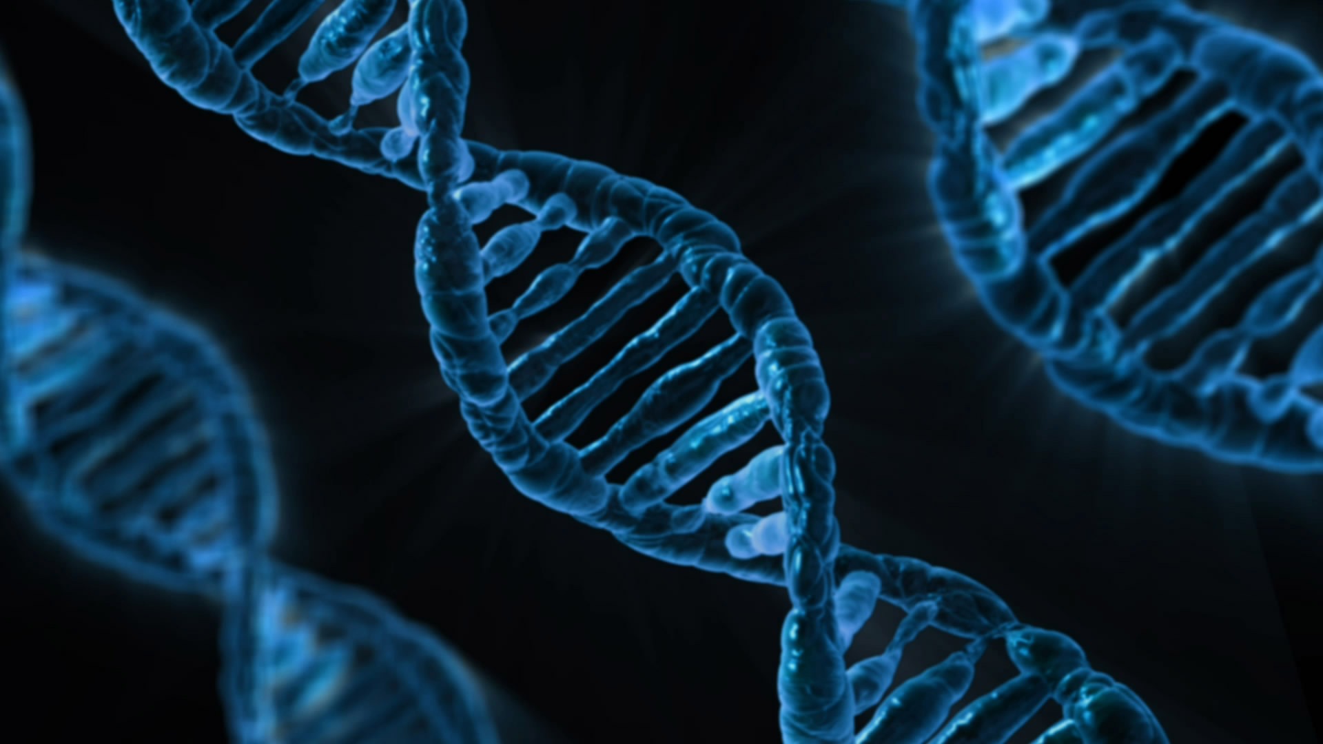 DNA gene editing