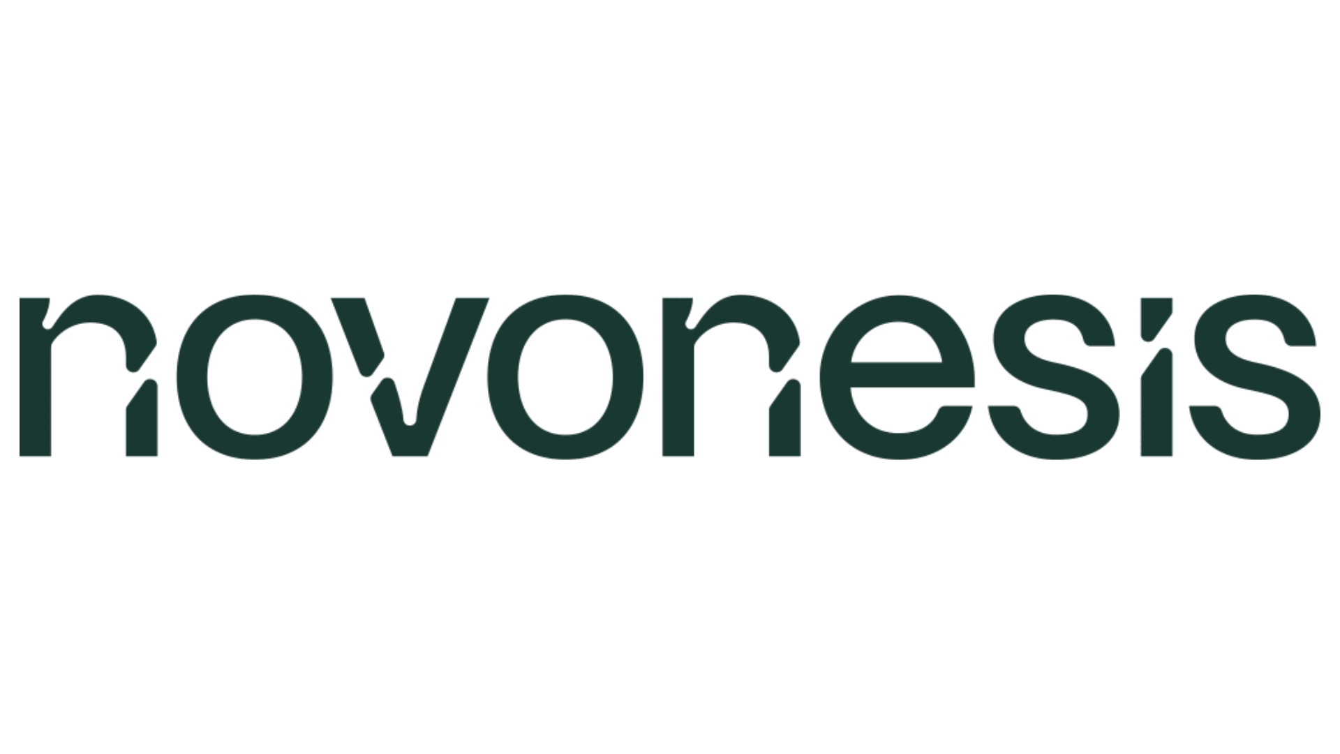 novonesis logo