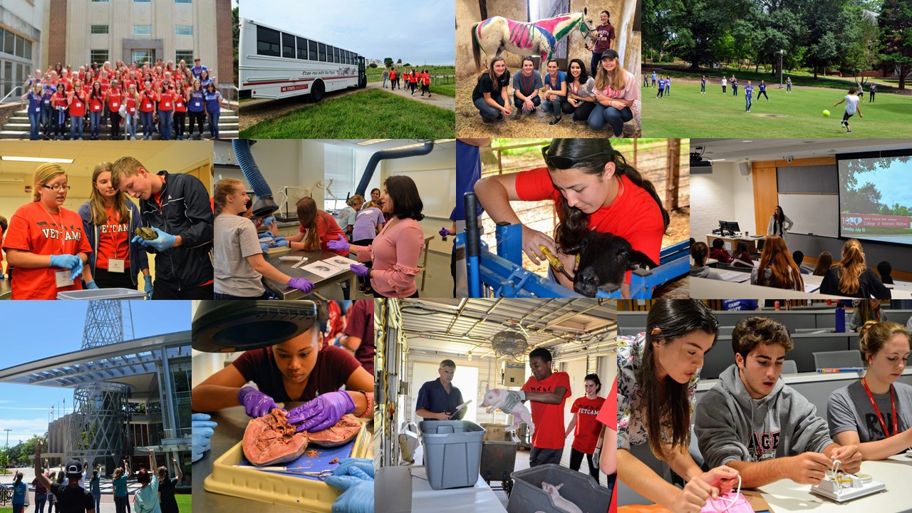 collage of participants performing activities at VetCAMP