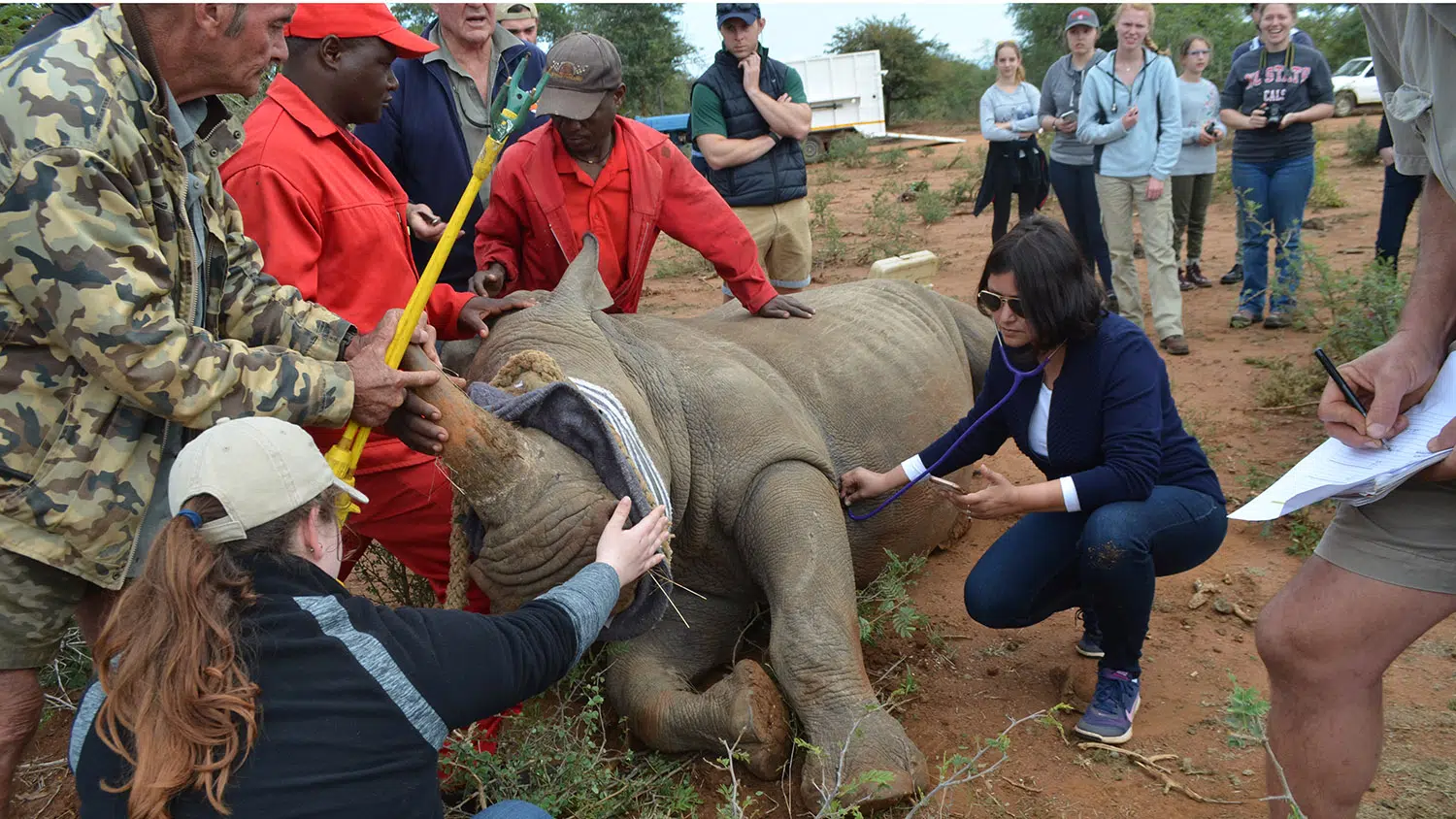Dr. Shweta Trivedi with Rhino
