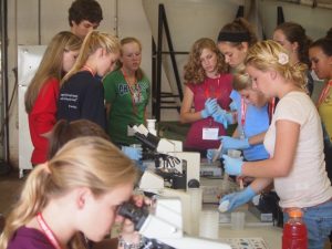 Students working with specimens at table