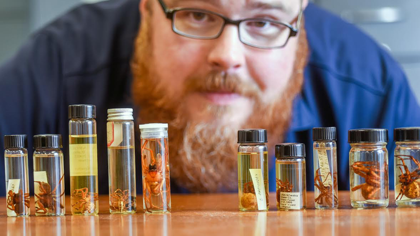 Researcher with spiders and fluid in vials