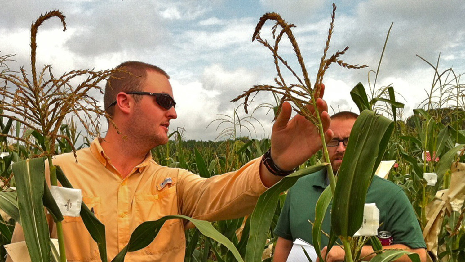 Zachary Jones in corn field talking with another man.