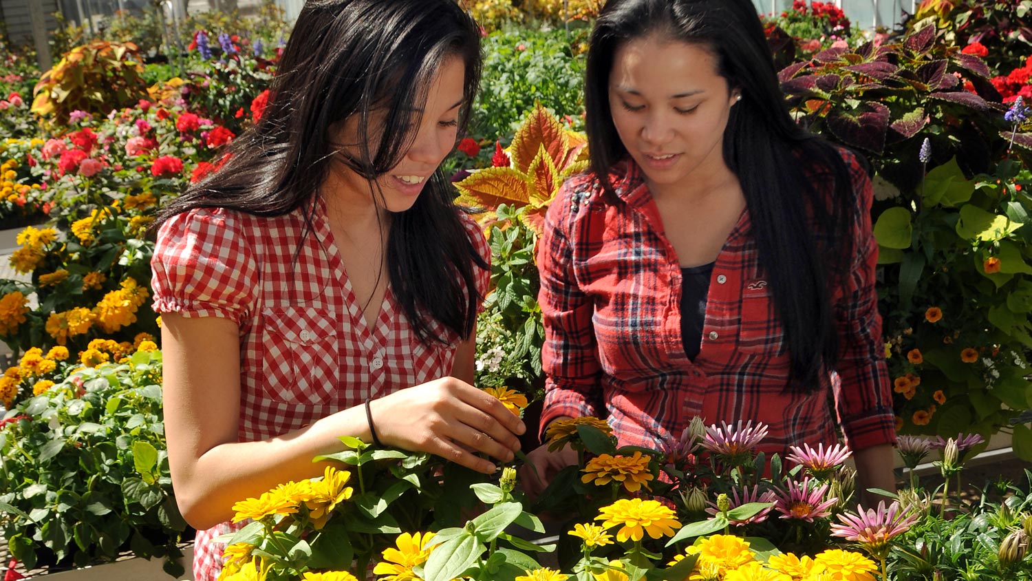 Students examine flowers in greenhouse