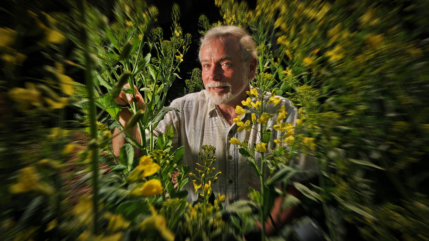Fred Gould in his garden.