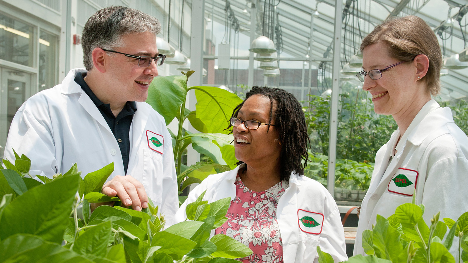 Ignazio Carbone, Terri Long and Amy Grunden in greenhouse