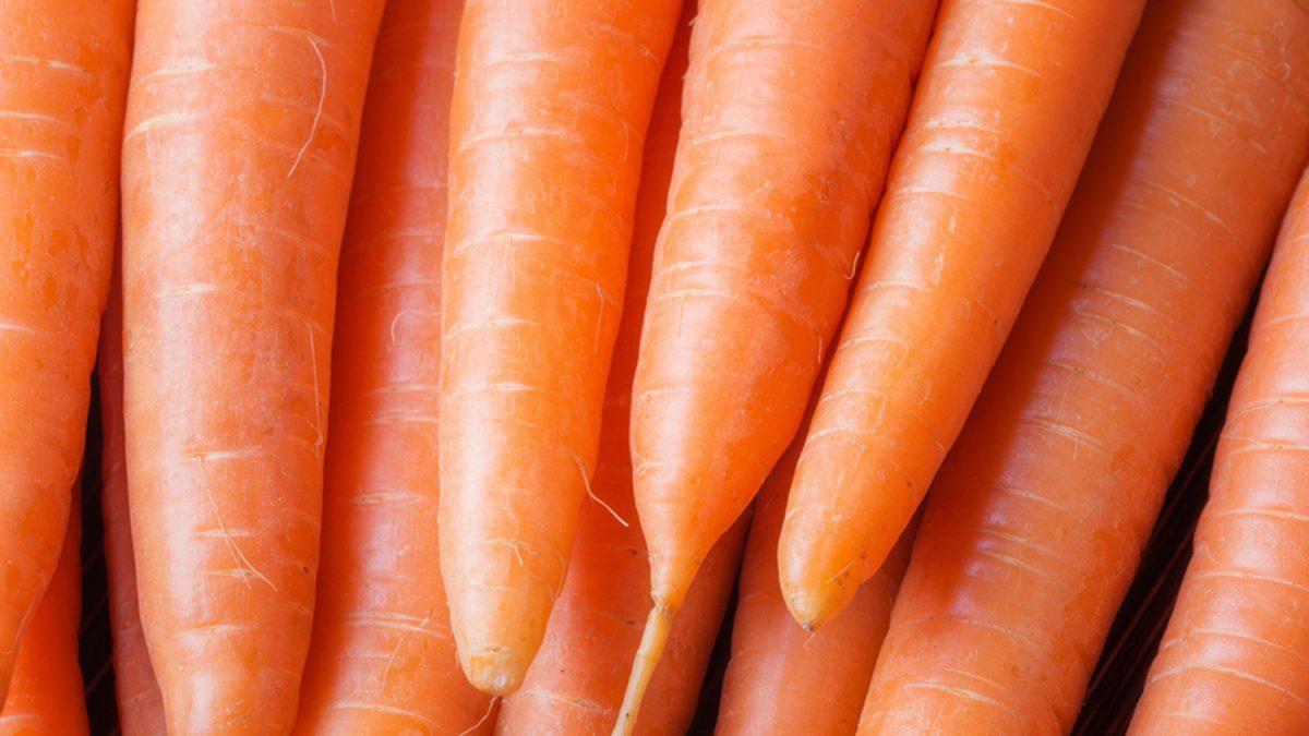 Carrot genome sequenced College of Agriculture and Life Sciences