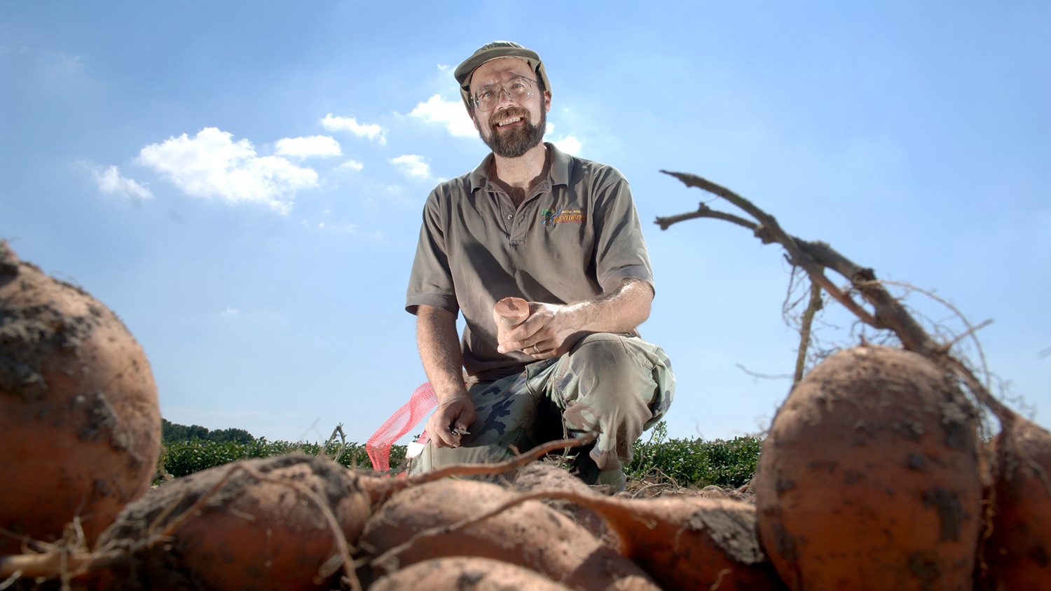 Ken Pecota in a sweet potato field.