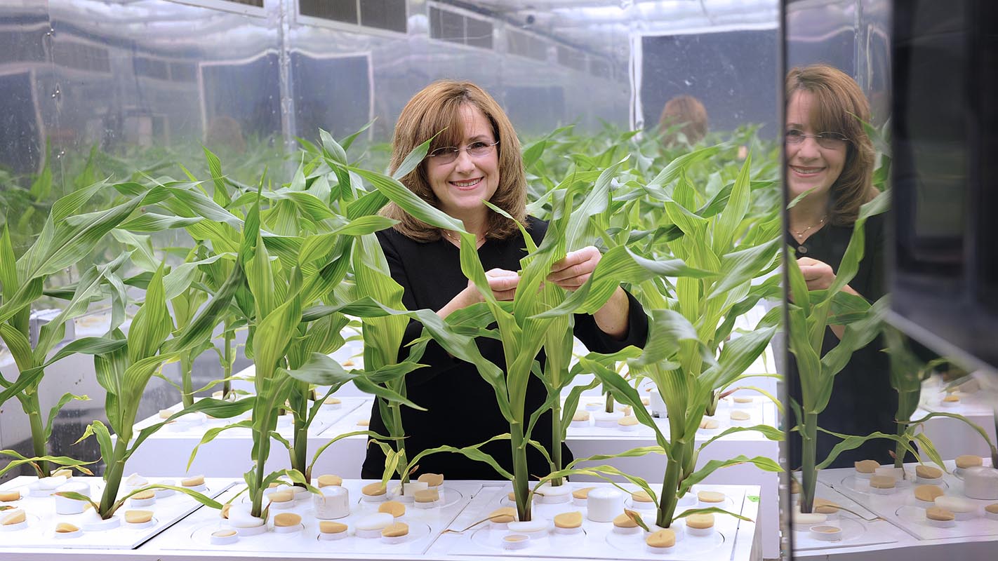 Phytotron director Dr. Carole Saravitz inside and outside of the chambers.