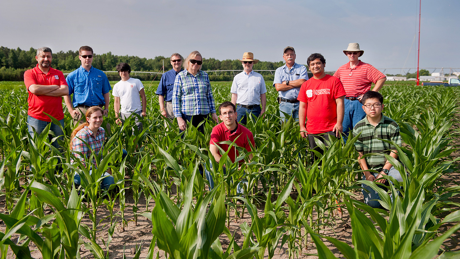 Researchers in a corn field.