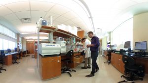 Two scientists in a laboratory