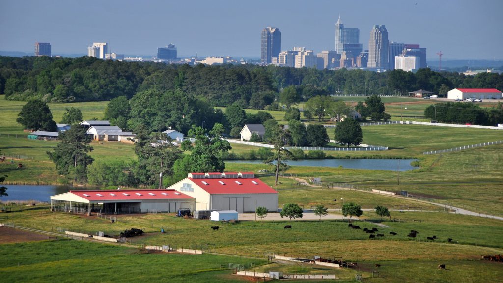 Lake Wheeler farm in foreground, with Raleigh skyline in background