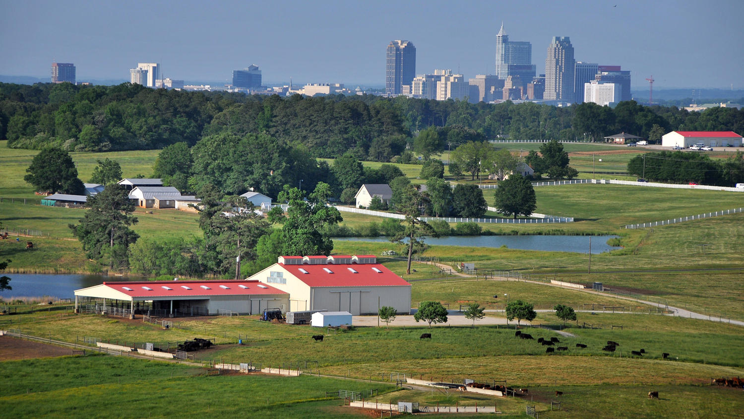 Lake Wheeler farm in foreground, with Raleigh skyline in background