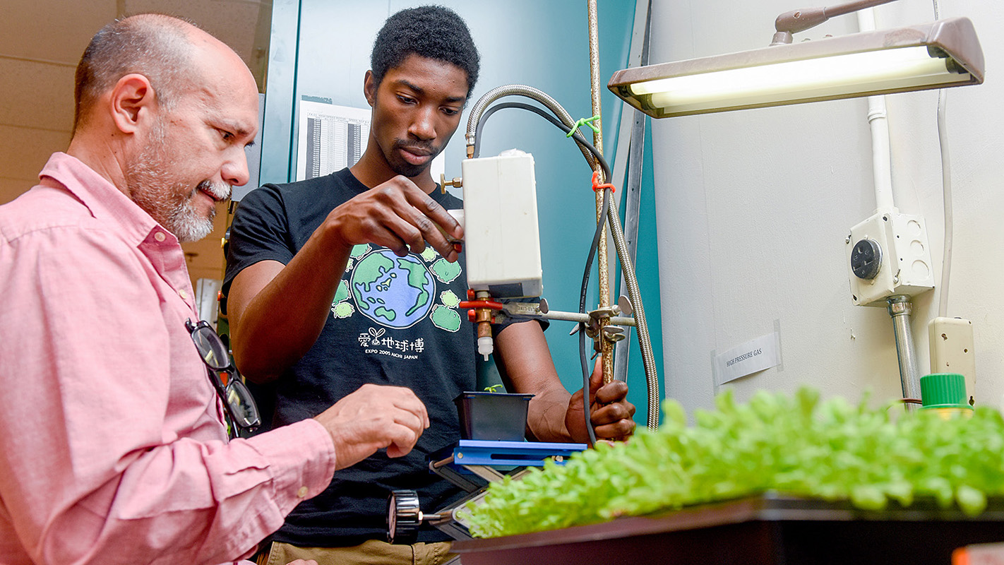 Professor and student use a gene gun with plants.