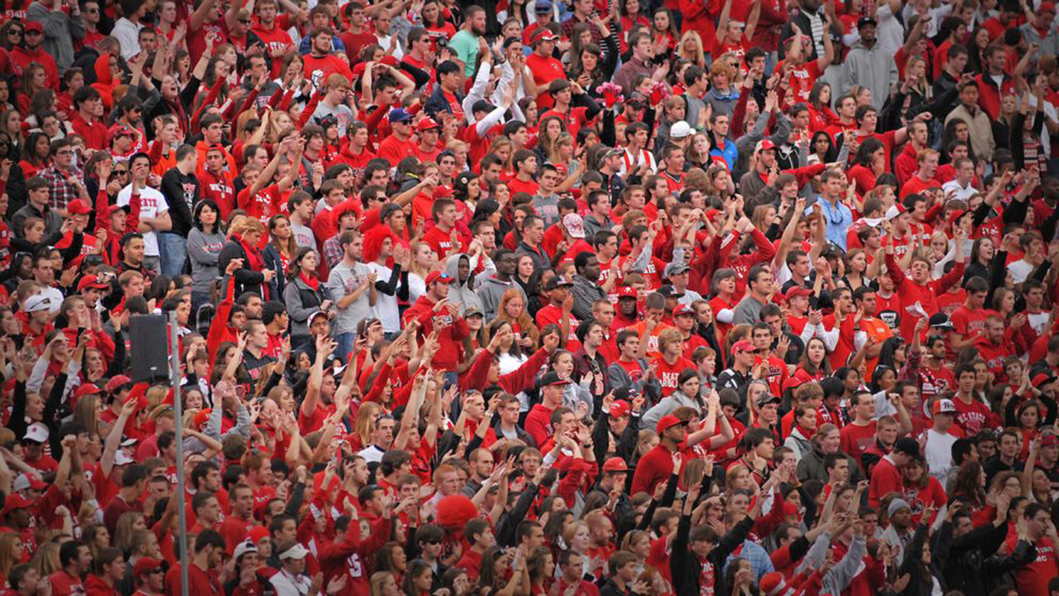 Cheering crowd at an NC State football game.