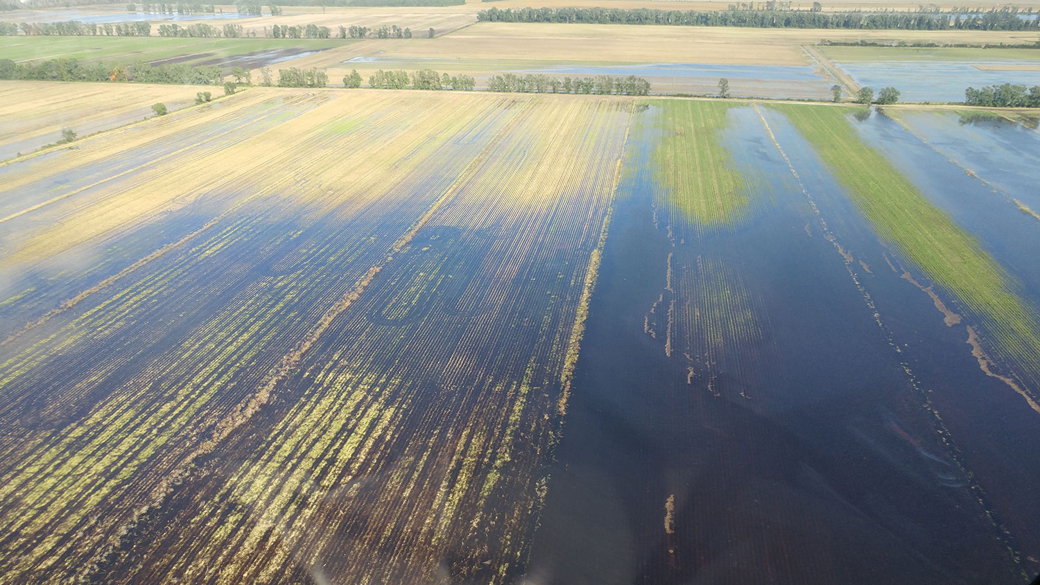 Flooded agricultural fields after Hurricane Matthew