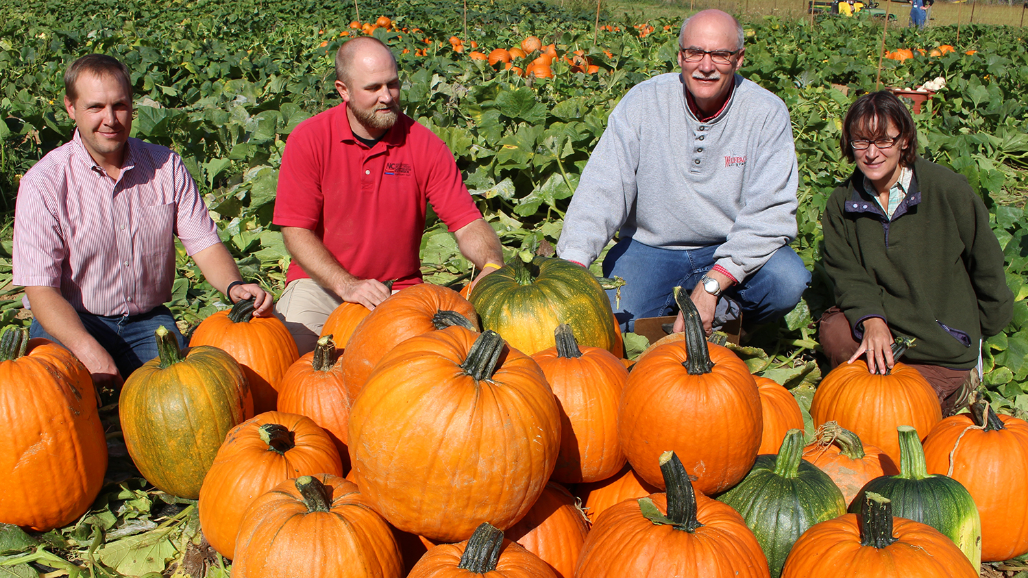 Kaleb Rathbone, Travis Birdsell, Jonathan Schultheis and Annette Wszelaki pose with pumpkins in a research station field.