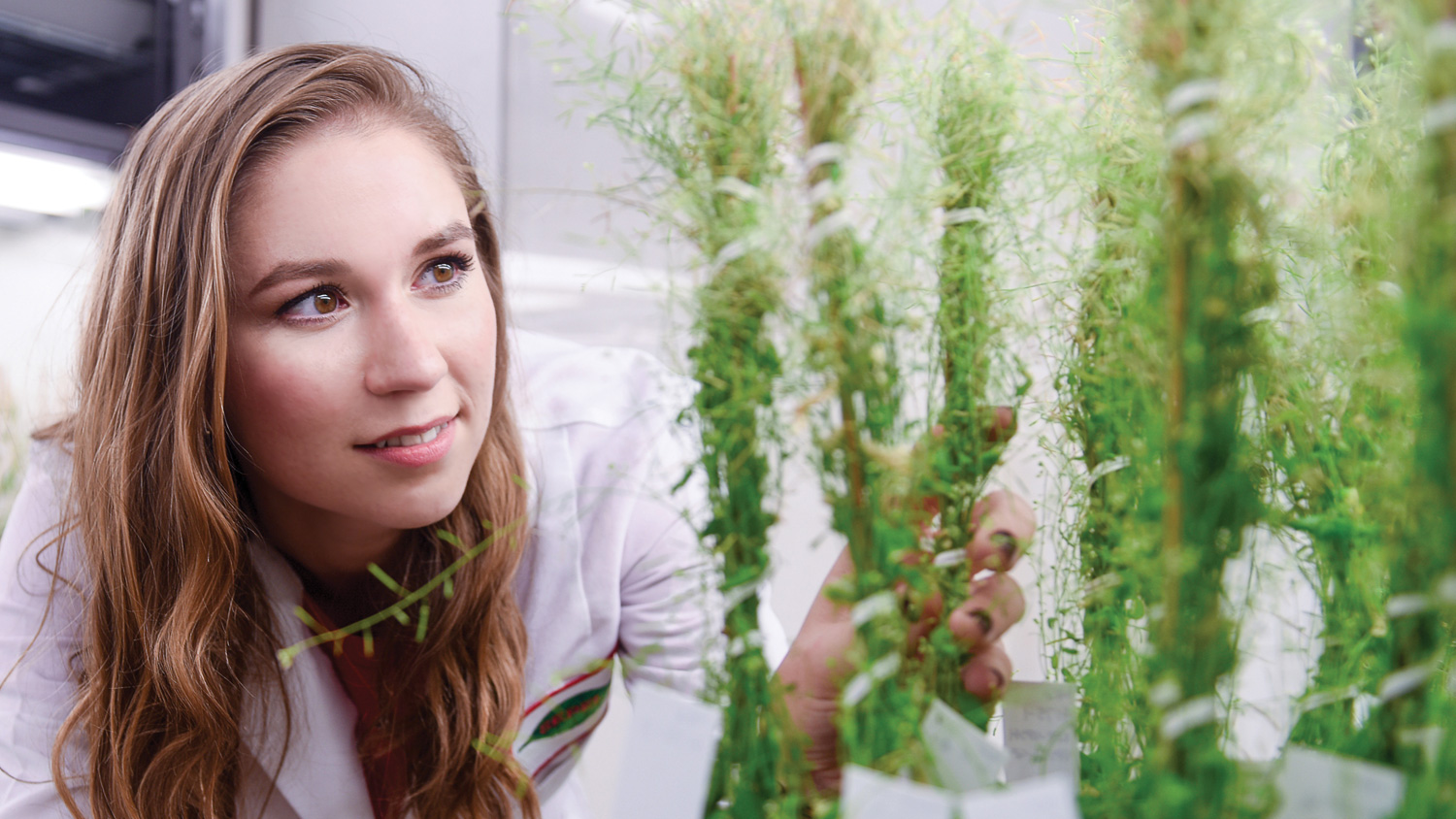 CALS student Brooklynn Newberry, a plant pathology major, in lab.