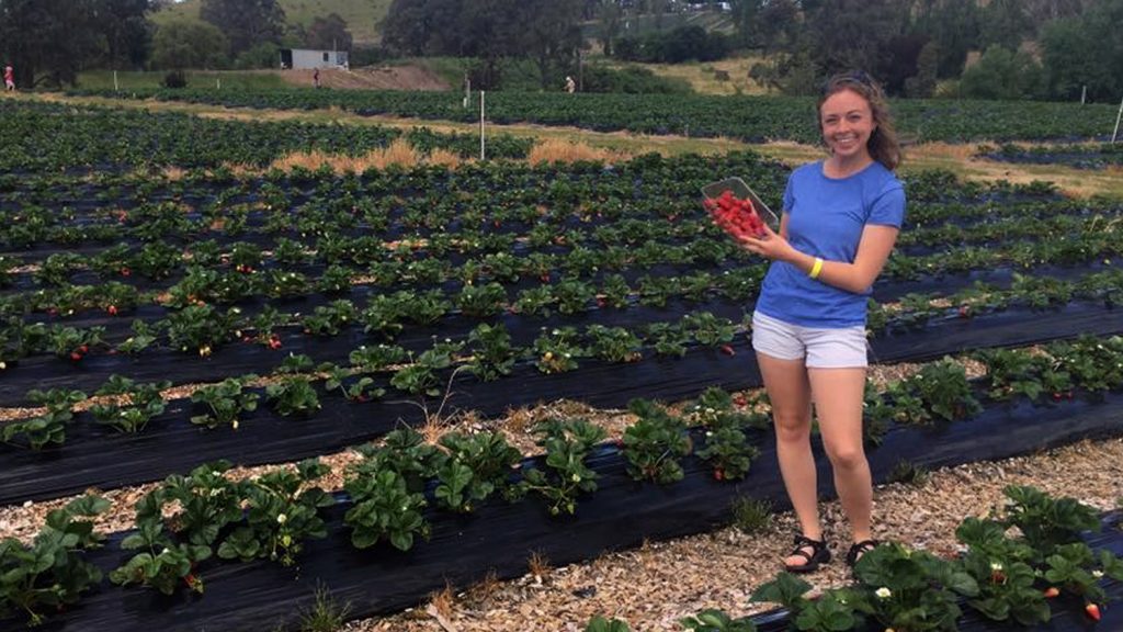 CALS senior Christina Harvey in a farm field.