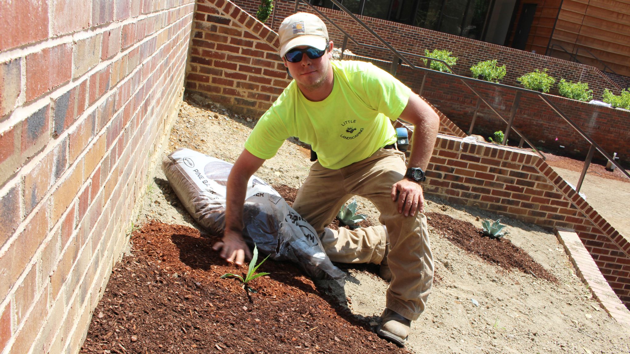 Student near brick walls spreading pine bark mulch around a plant.