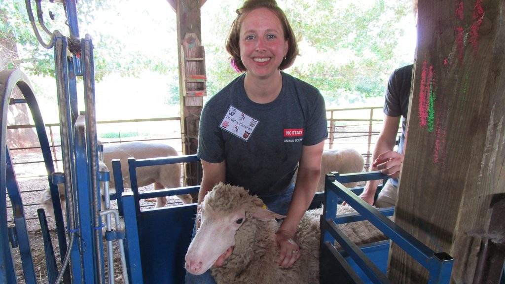 CALS Livestock Camp Carrie Pickworth