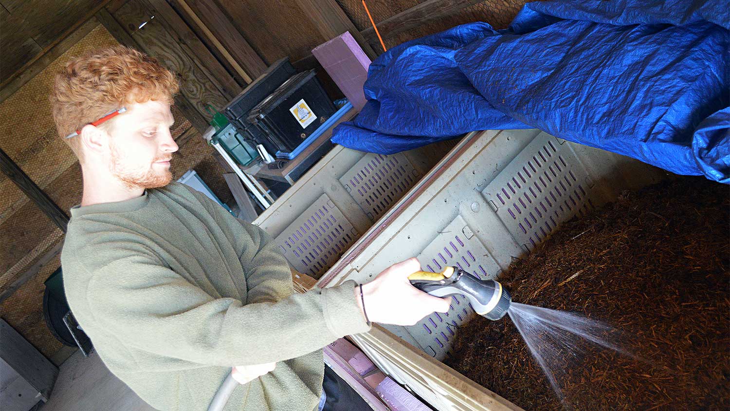 Student Garnett Bullock feeds the approximately 30,000 worms that live at the NC State Composting Learning Lab off Lake Wheeler Road in Raleigh.