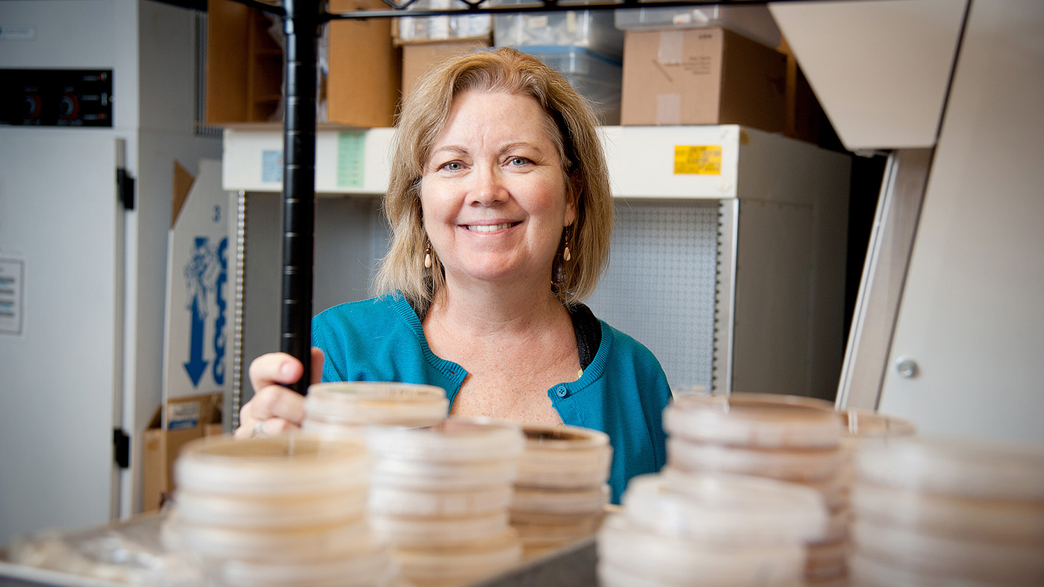 Jean Ristaino in her NC State lab.