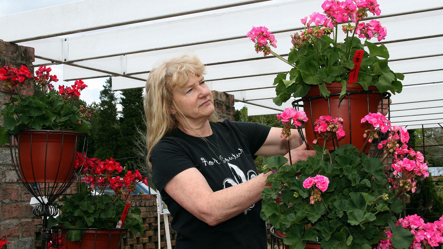 Lee County Extension Gail Foushee Flowers