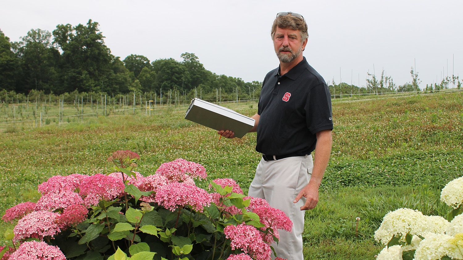 Tom Ranney outside with pink and white hydrangeas.