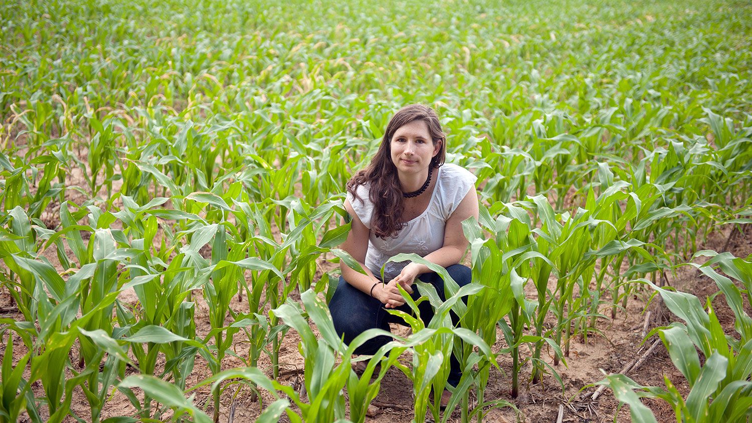 CALS grad student Angel Cruz in a cornfield