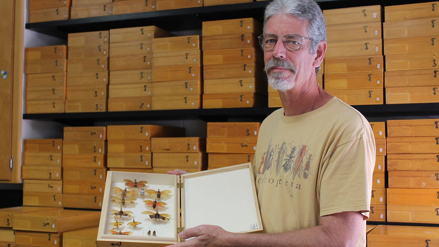 Man holding an open case containing pinned insects.