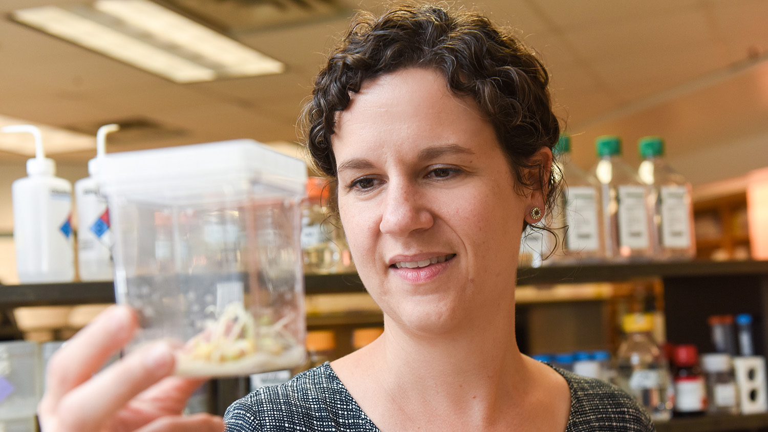 Woman holding a clear cube with 3-day-old corn seedlings.