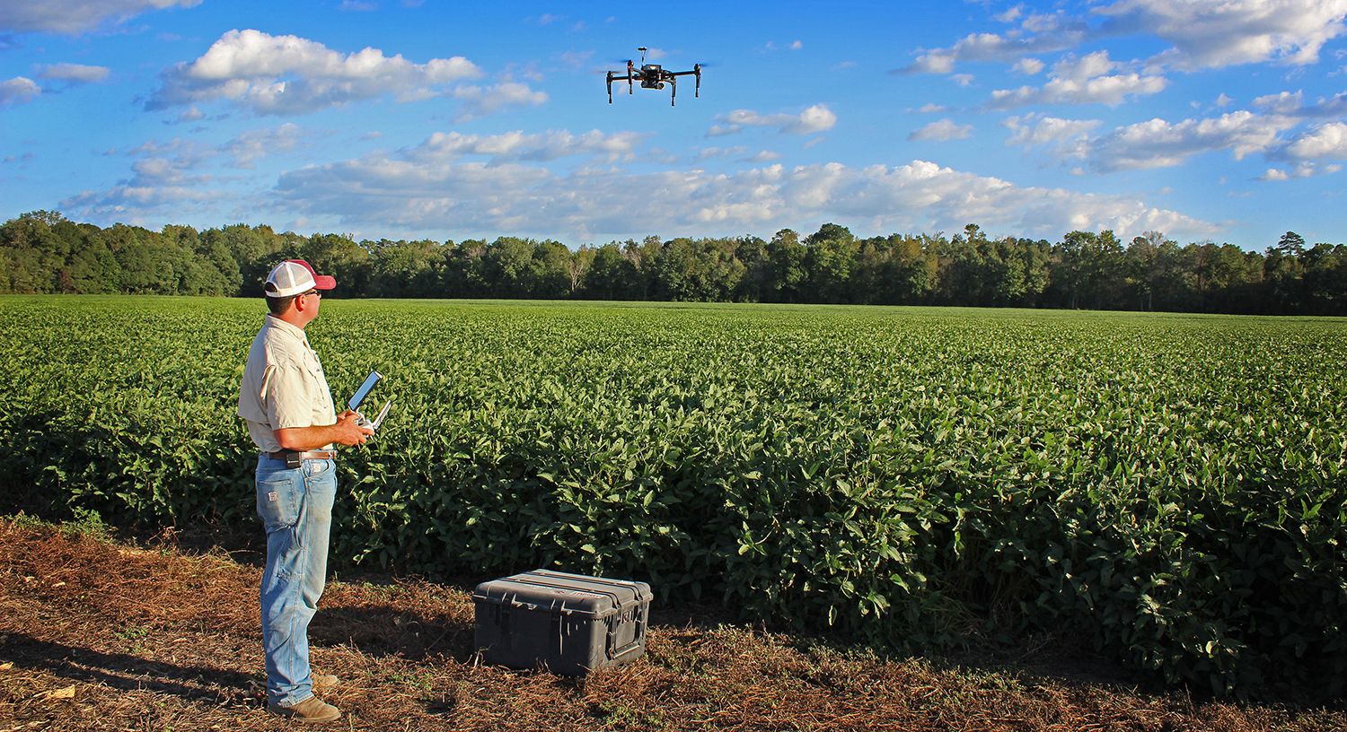 Drone flies over fields