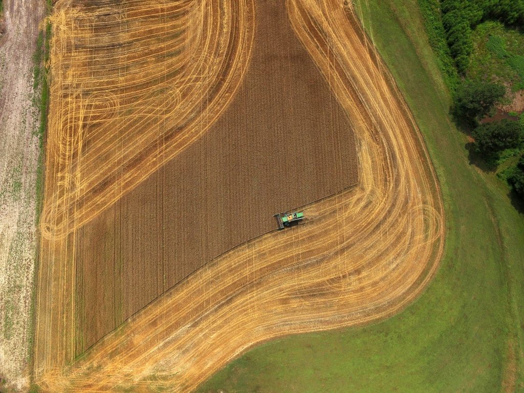 CALS Magazine Drone Photo Wheat Field From Above