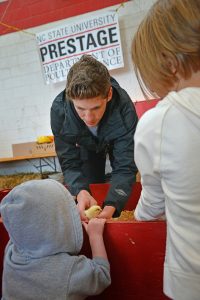 Prestage Dept. of Poutry Science student introduces a child to a baby chicken during Farm Animal Days.