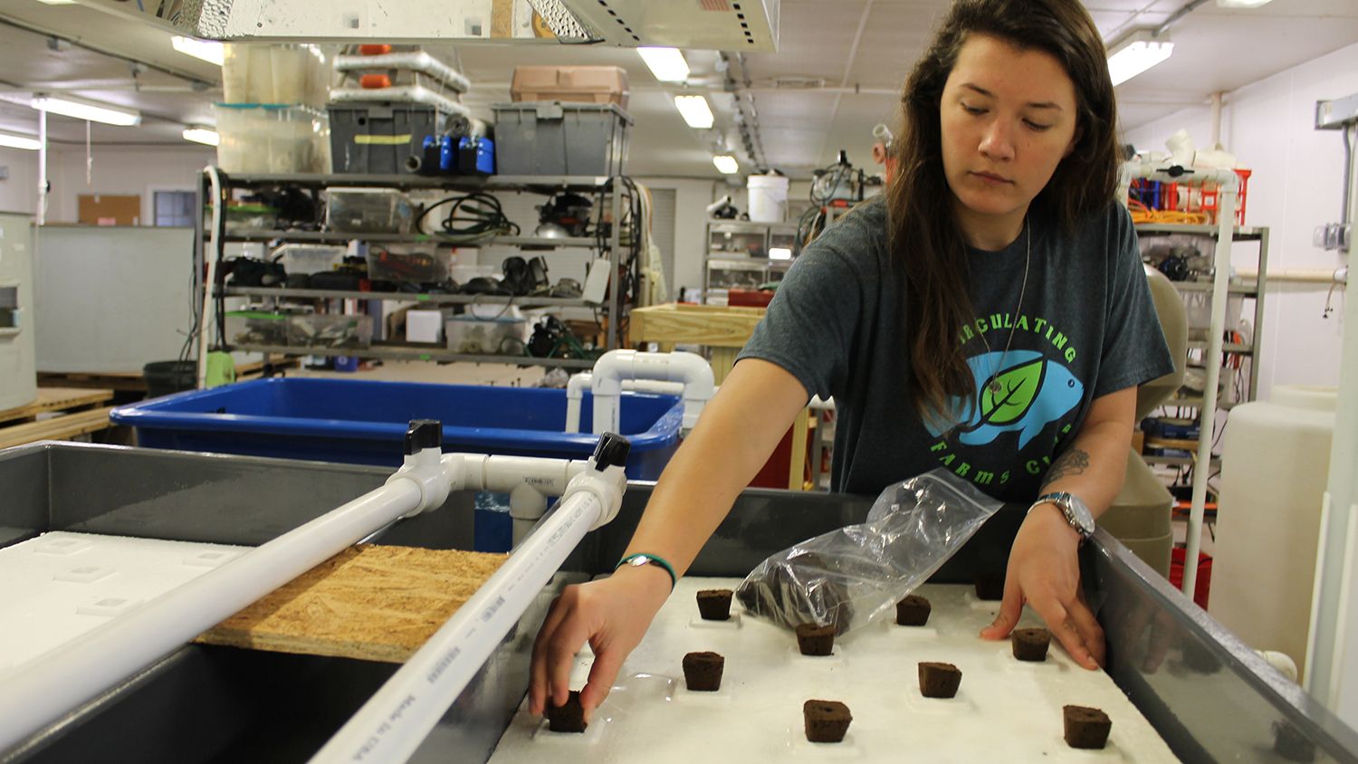 Student with float bed used to grow lettuce