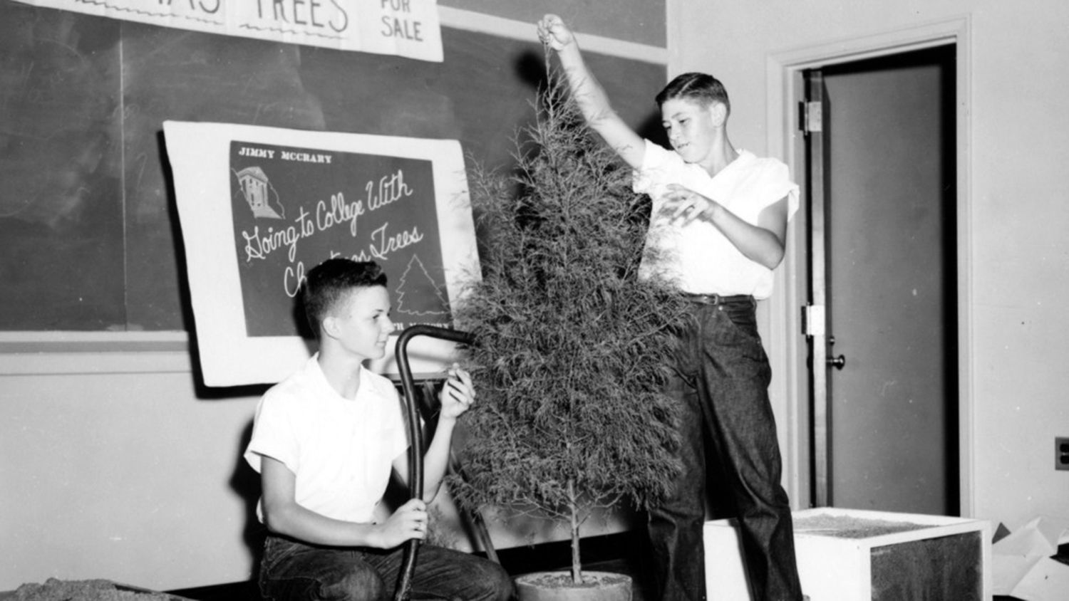 Two 4-H club boys give a demonstration on Christmas trees during district contest day, 1954