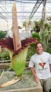 Student standing beside a large corpse flower.
