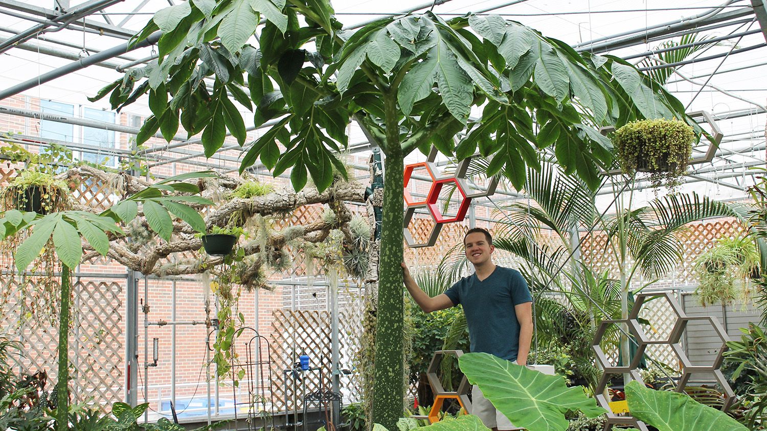 Student standing by a large tree-like plant.