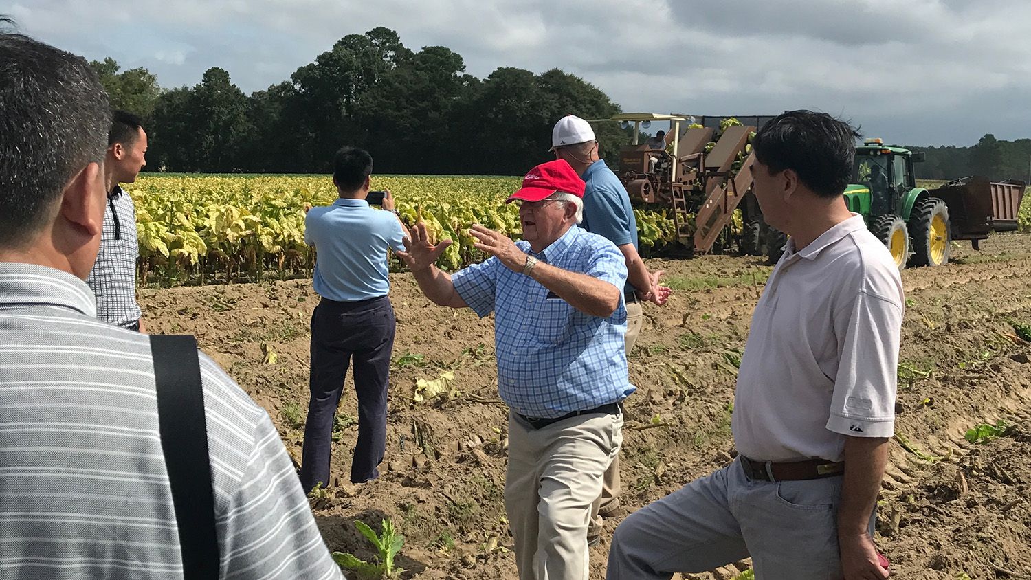 Group of people in a tobacco field that's being harvested