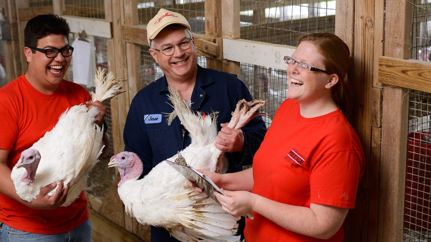 Students work with turkey's at the Turkey unit off Lake Wheeler road. Photo by Marc Hall