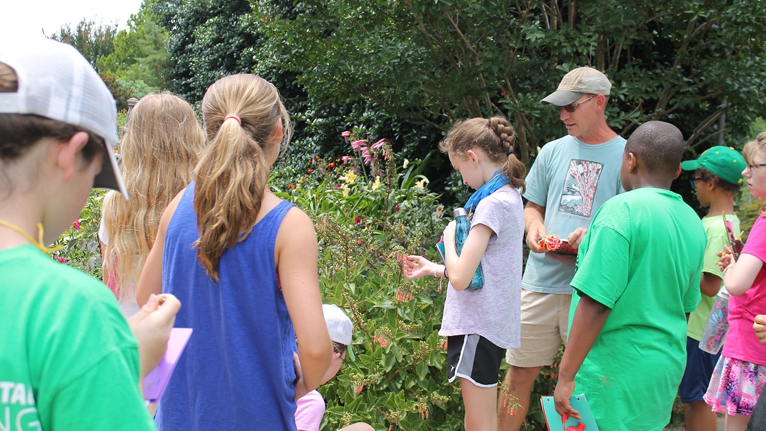Middle school students examine pollinating plants.