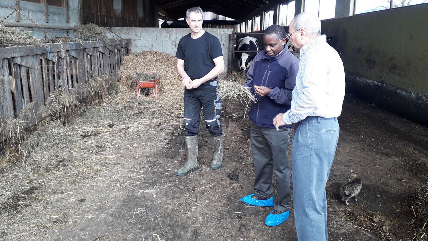 Three men standing together in a barn