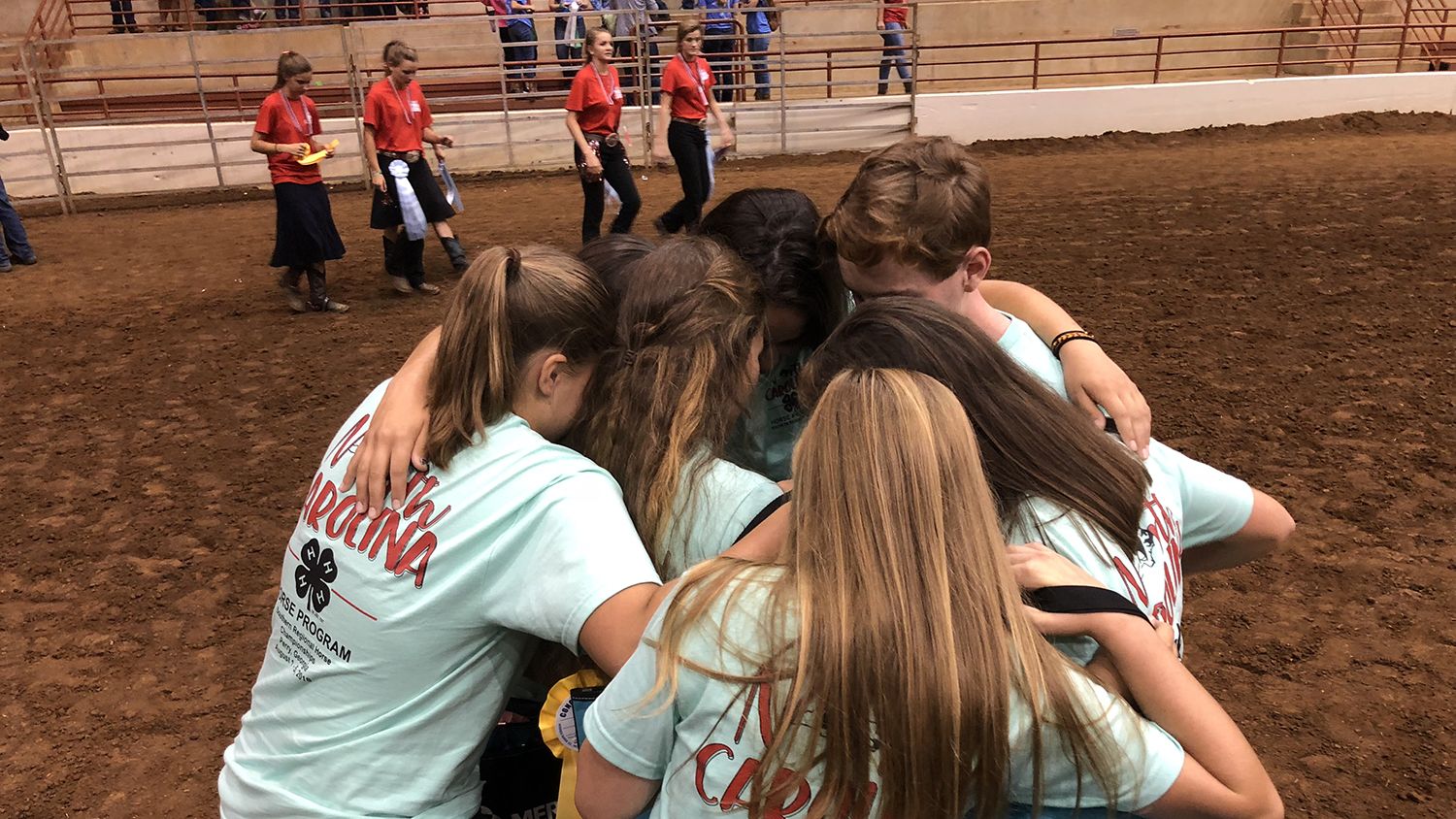 4-H Equine Championships