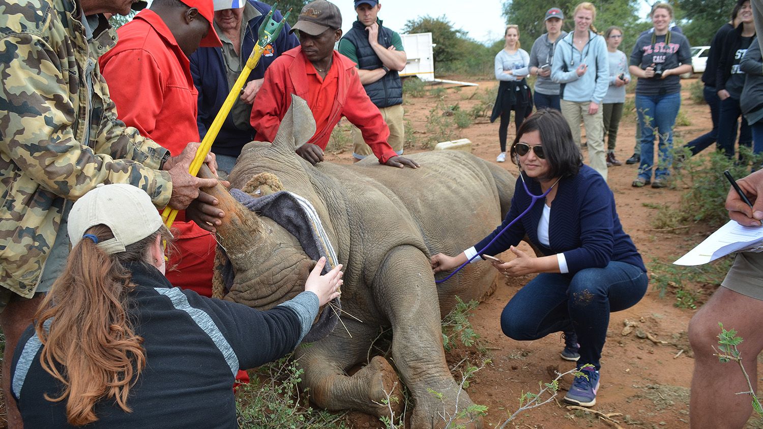 Shweta Trivedi CALS Rhino Study Abroad Vet School