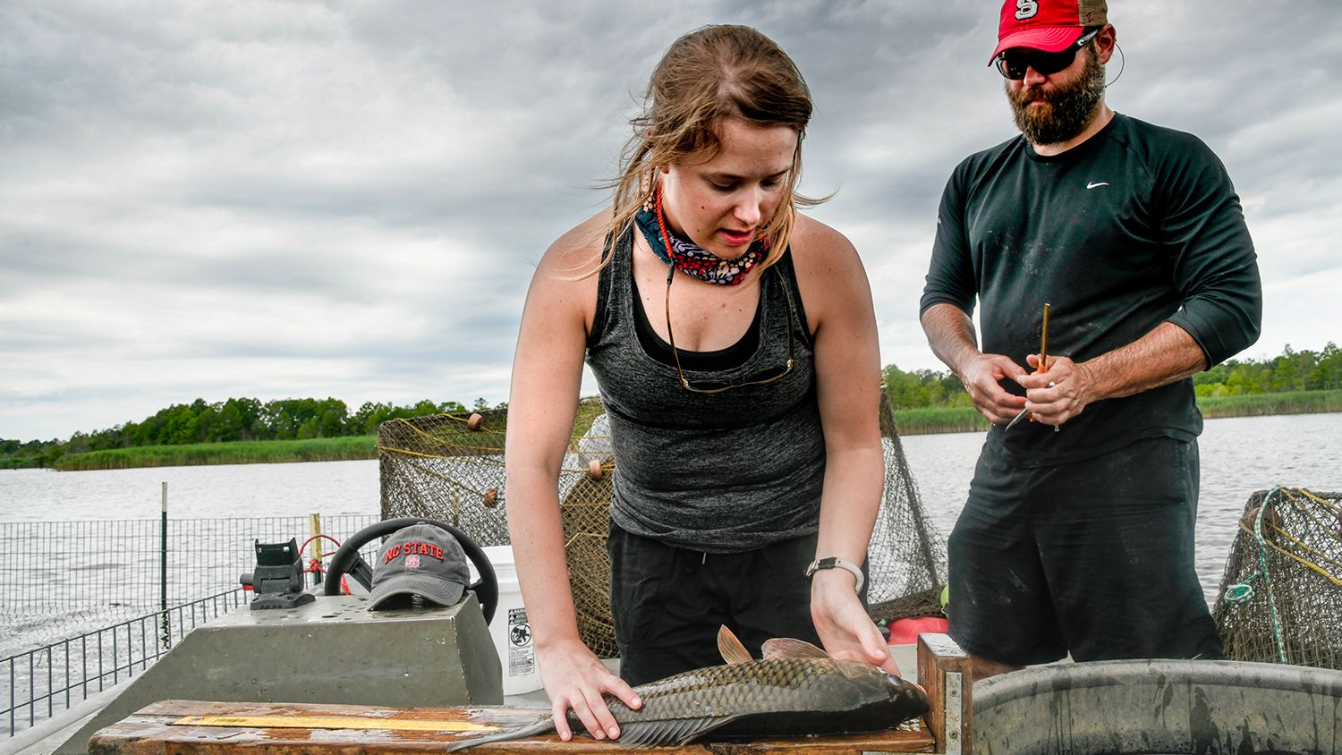Female student measuring length of fish with man taking a record
